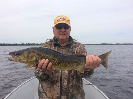 Walleye