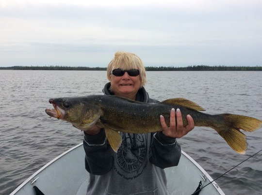 Walleye