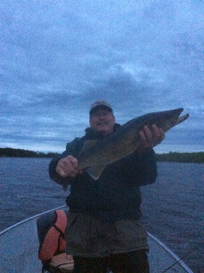 Walleye