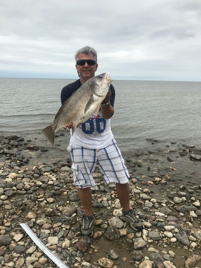 Freshwater Drum