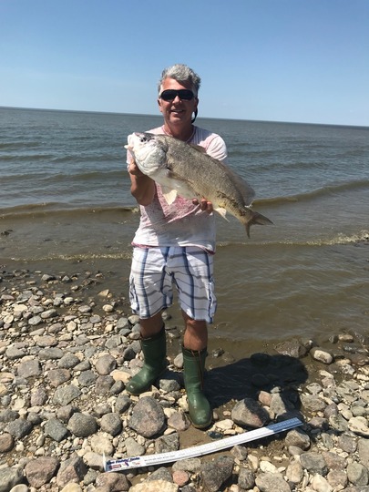 Freshwater Drum