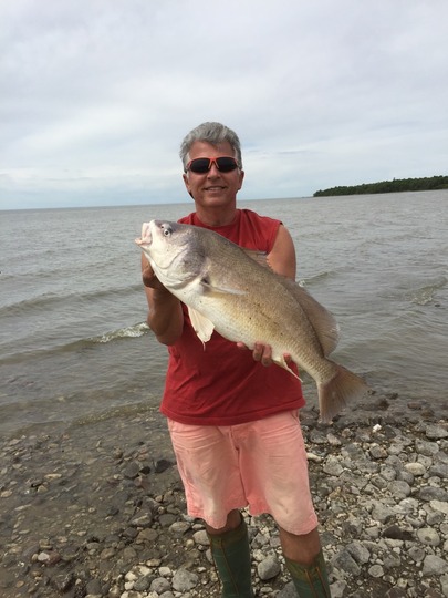 Freshwater Drum