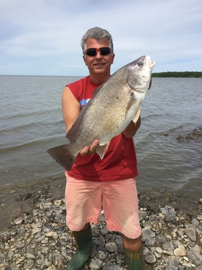 Freshwater Drum