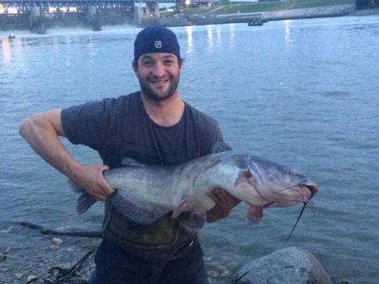 Channel Catfish