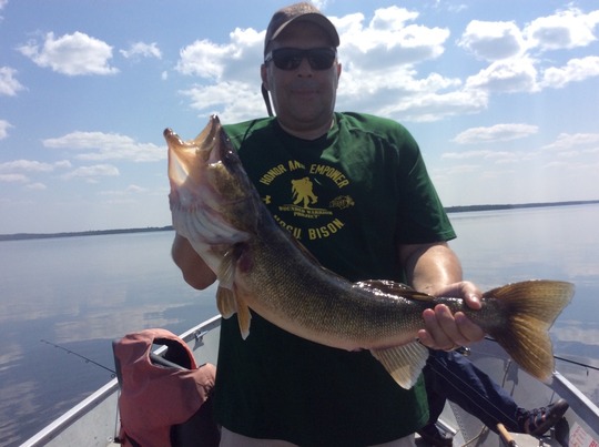 Walleye
