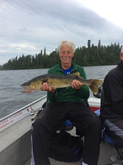 Walleye