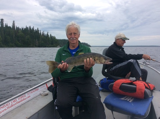 Walleye