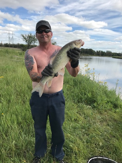 Sucker