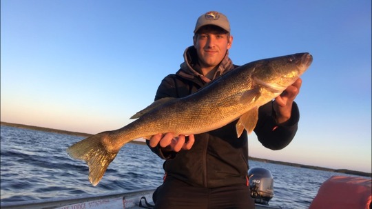 Walleye