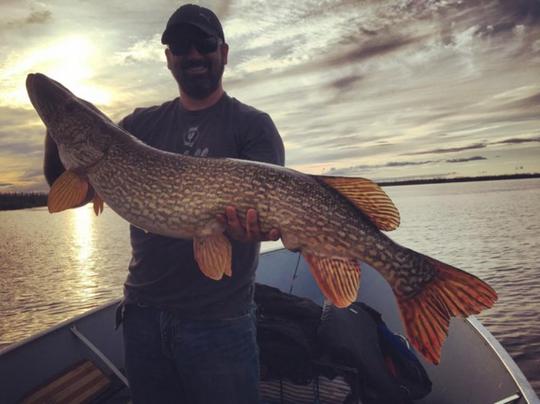 Northern Pike