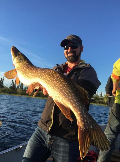 Northern Pike