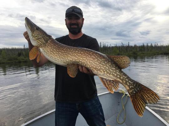 Northern Pike