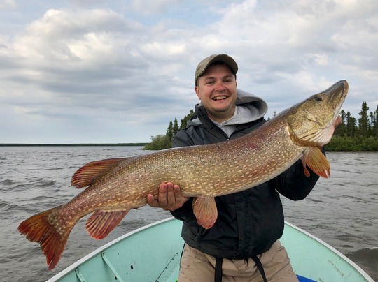 Northern Pike