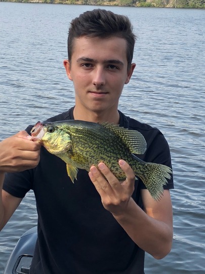 Black Crappie
