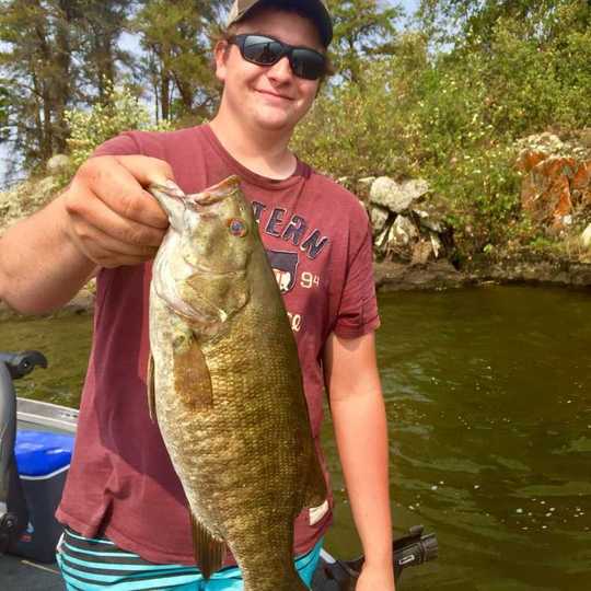 Smallmouth Bass
