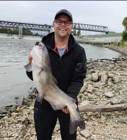 Channel Catfish