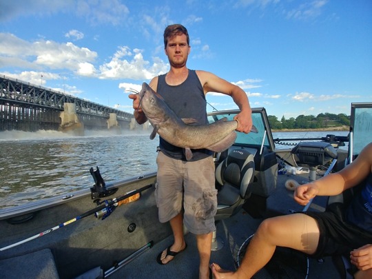Channel Catfish