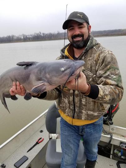 Channel Catfish