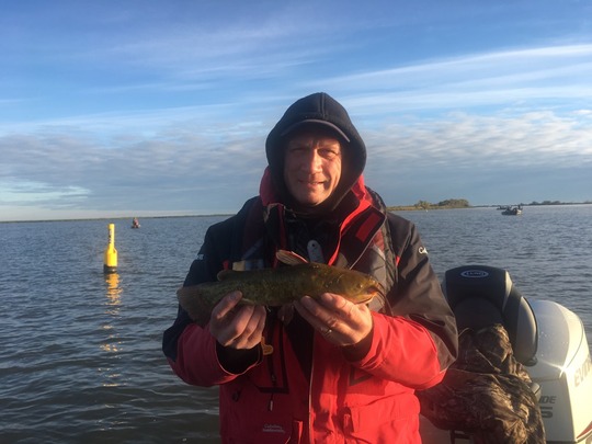 Bullhead
