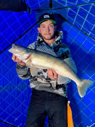 Walleye