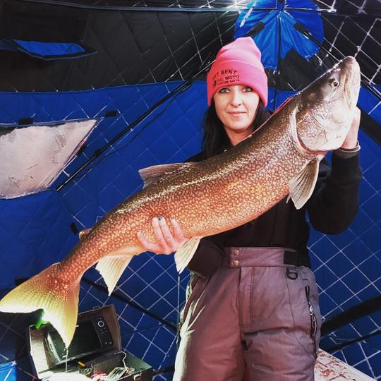 Lake Trout