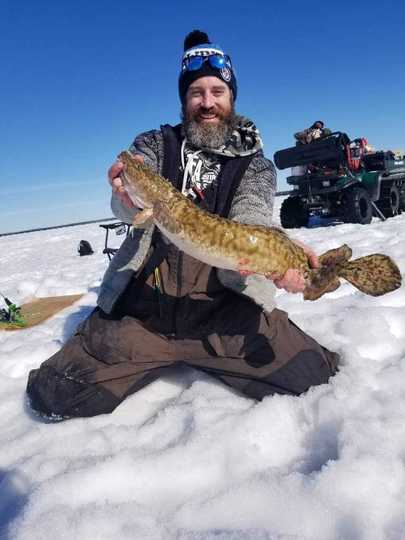 Burbot