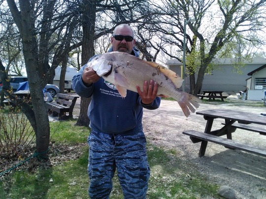 Freshwater Drum