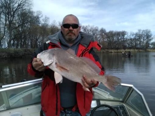 Freshwater Drum