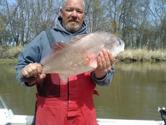 Freshwater Drum