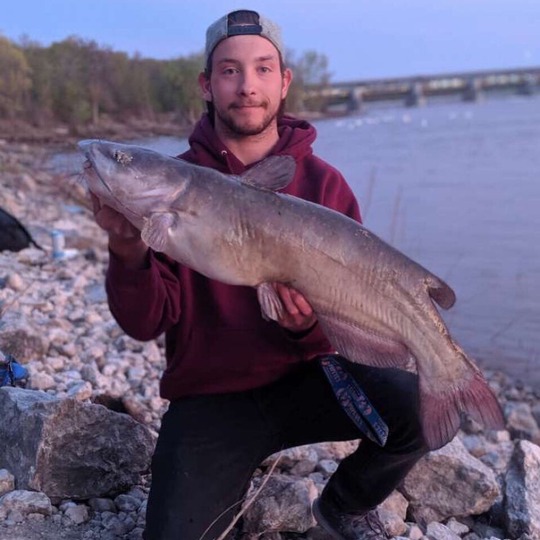 Channel Catfish