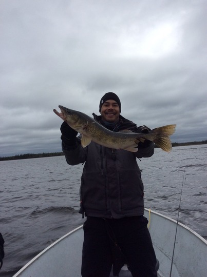 Walleye