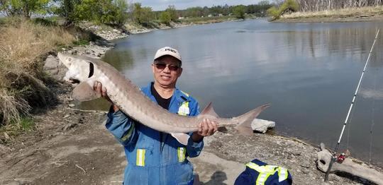 Lake Sturgeon