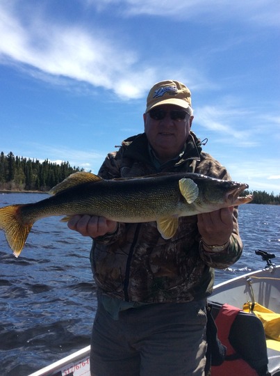 Walleye