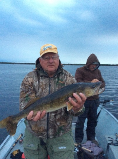 Walleye