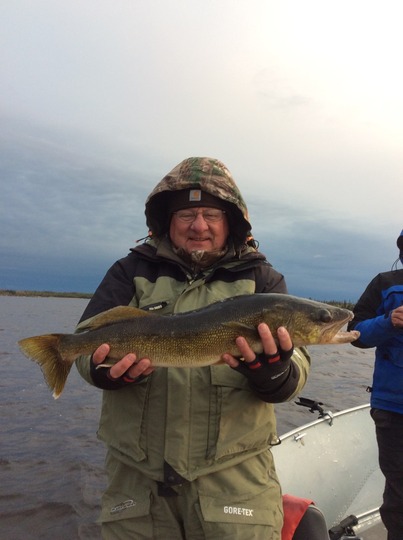Walleye