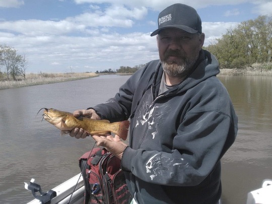 Bullhead