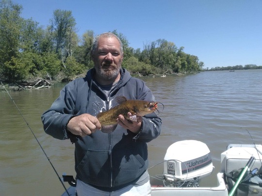 Bullhead