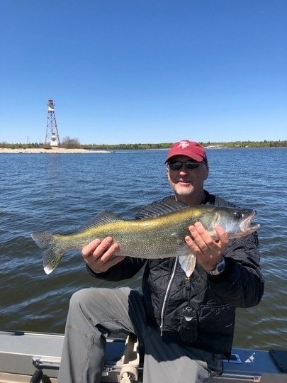 Walleye