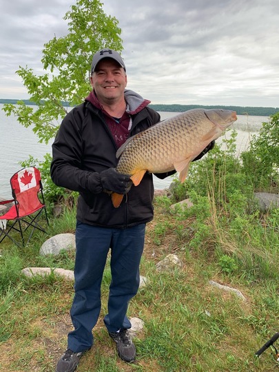 Common Carp