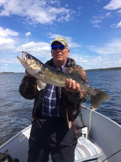 Walleye