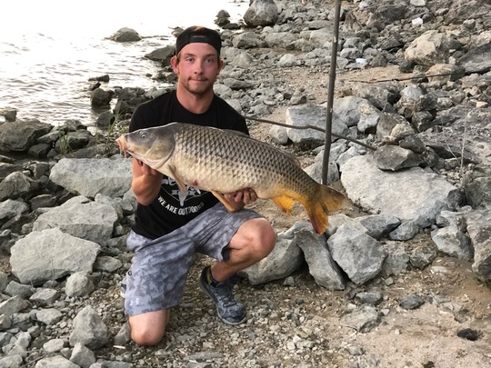 Common Carp