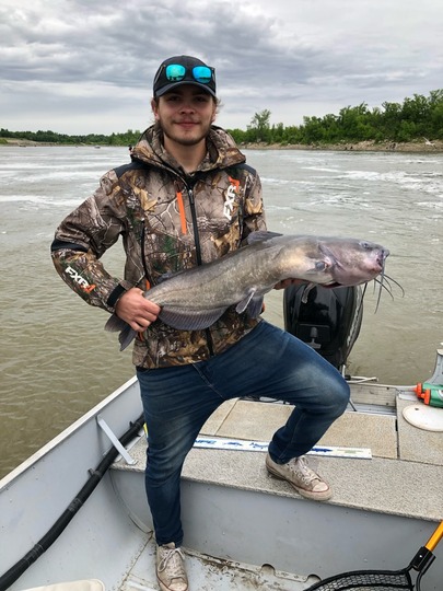 Channel Catfish