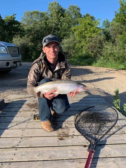 Rainbow Trout