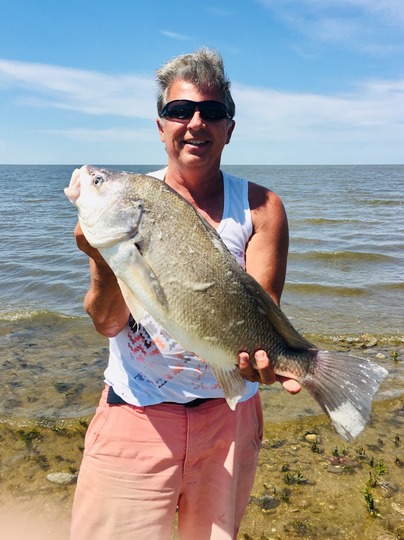 Freshwater Drum