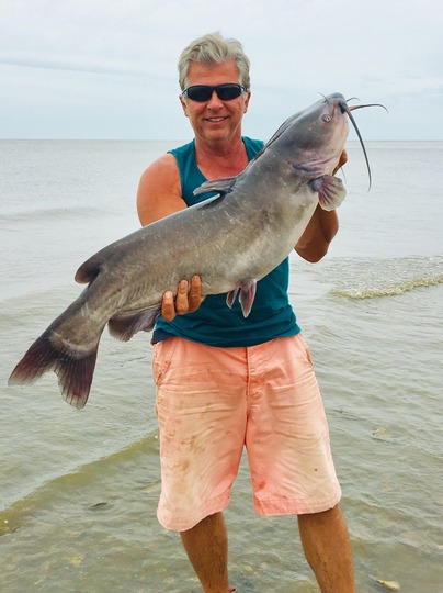 Channel Catfish