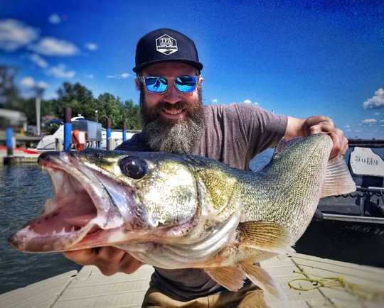 Walleye