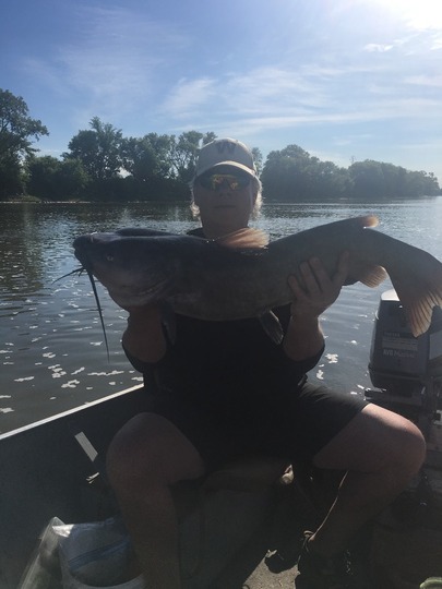 Channel Catfish