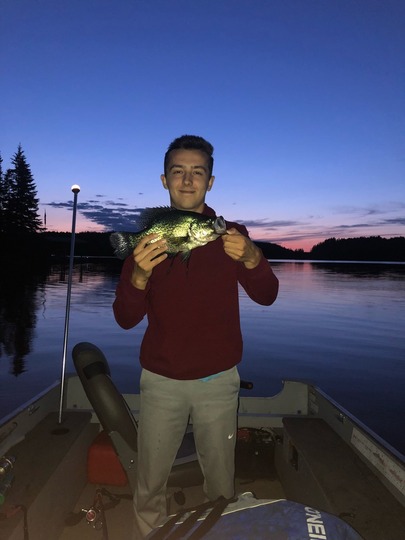 Black Crappie
