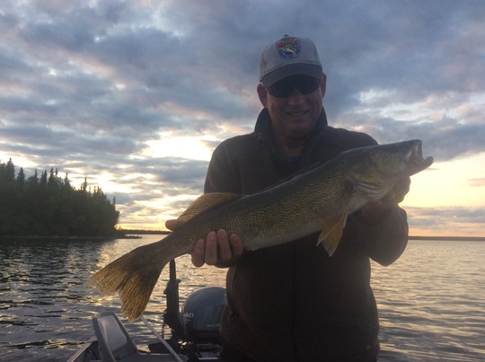 Walleye