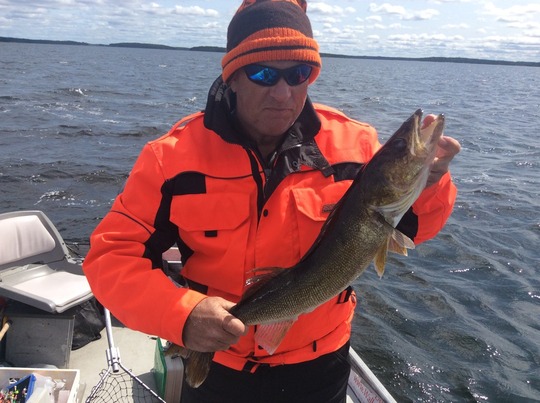 Walleye